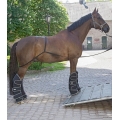 Waldhausen Horse Shipping / Trailer Loading Aid